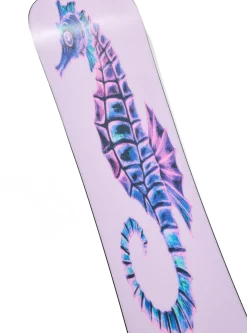Blossom Camber Snowboard