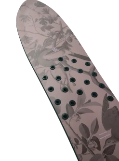 Family Tree Backseat Driver Pow Surfing Snowboard