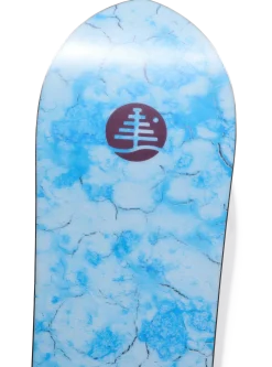 Family Tree Sketch Artist Camber Snowboard