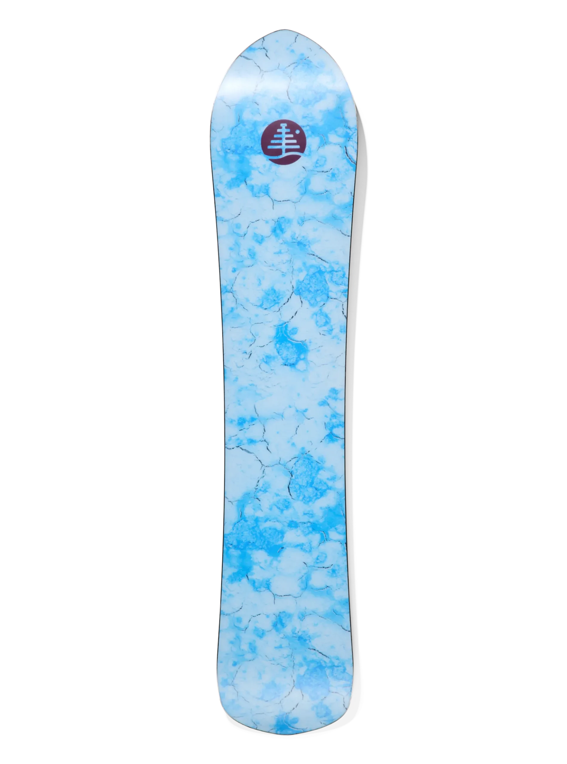 Family Tree Sketch Artist Camber Snowboard